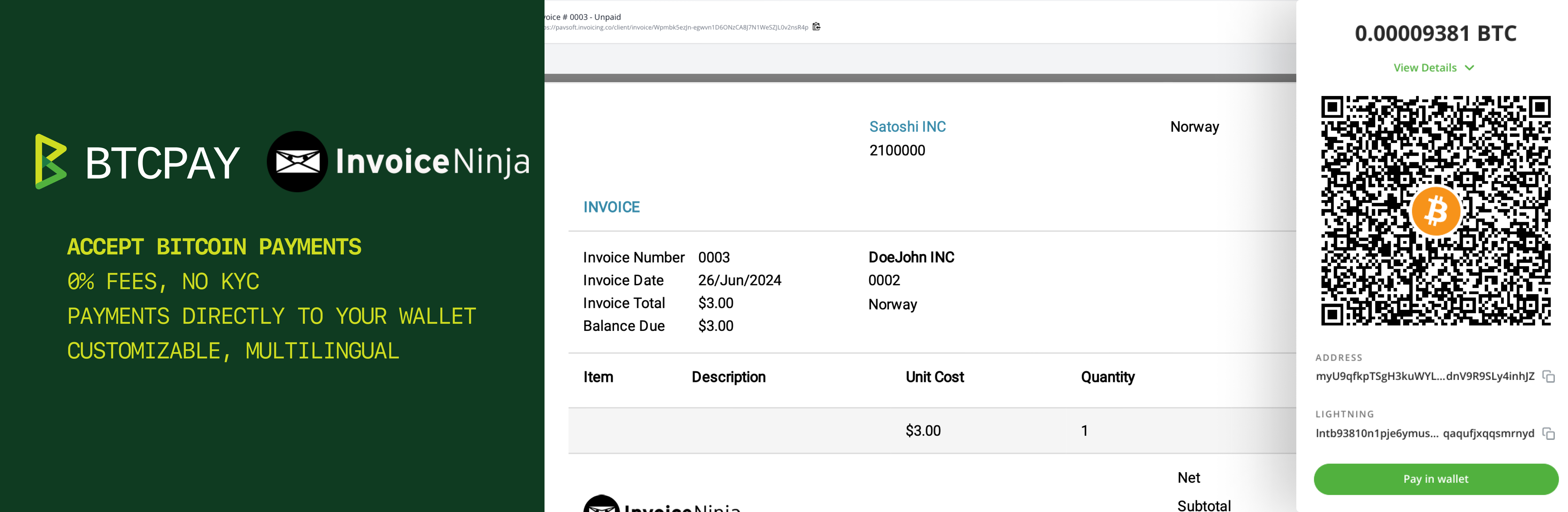 BTCPay Server Invoice