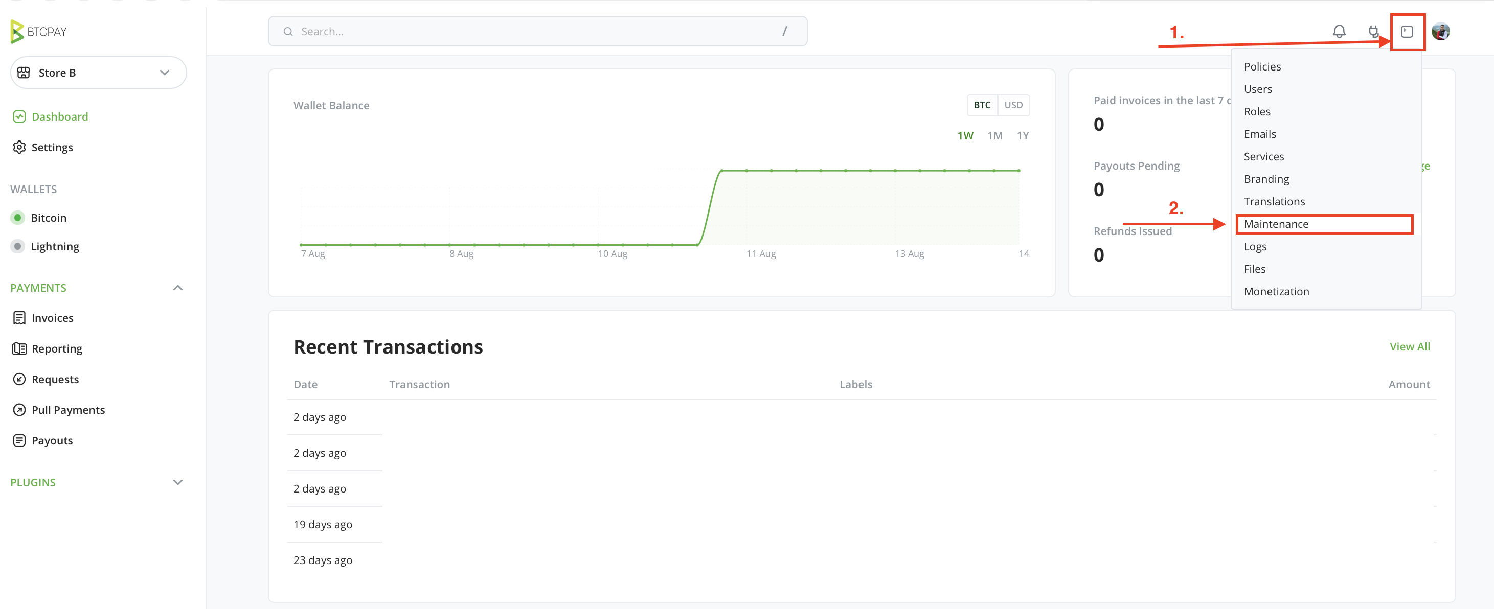Opening BTCPay Server maintenance settings