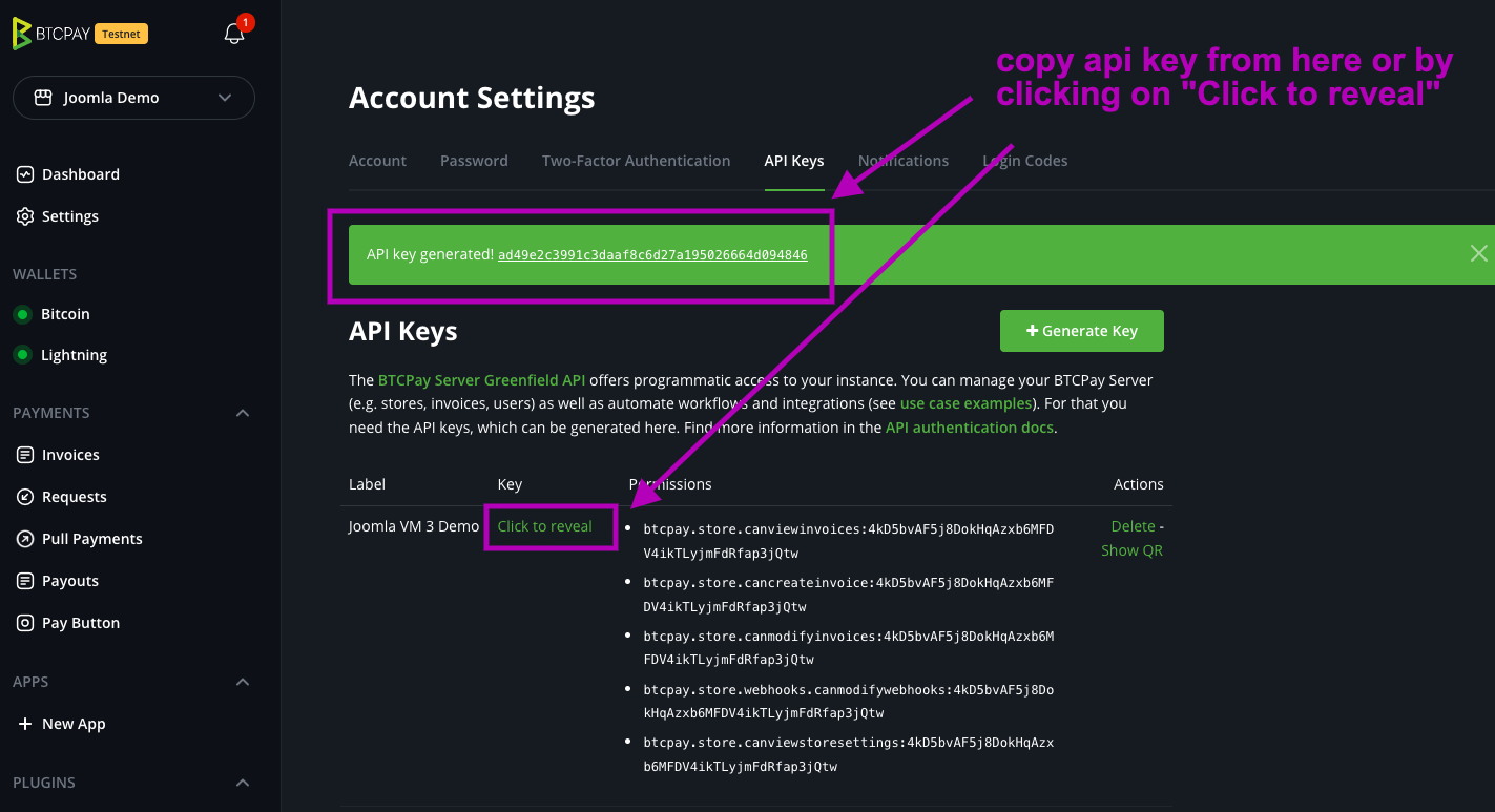 BTCPay Joomla VirtueMart: Copy API Key